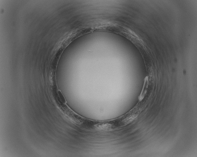 X0000070180452200605260944