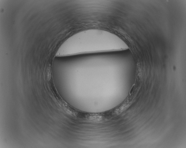 X0000070180471200605260944