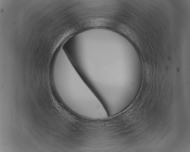 X0000070180482200605260944