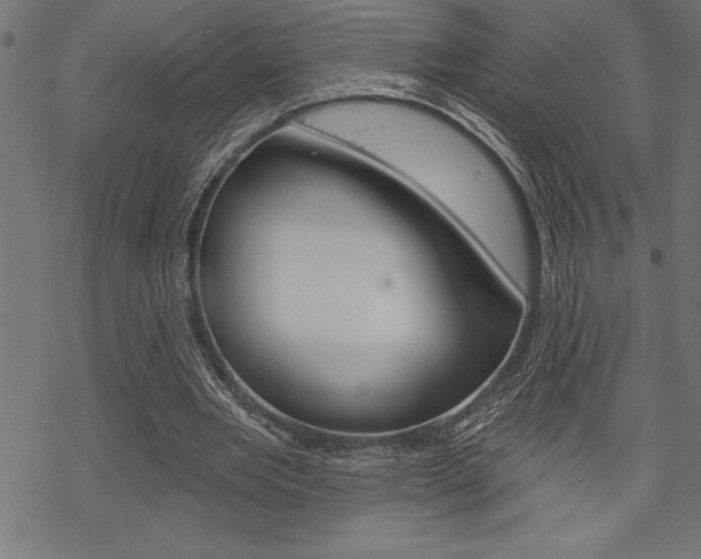 X0000070180485200605260944