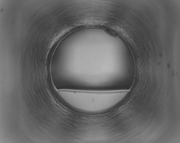 X0000070180488200605260943