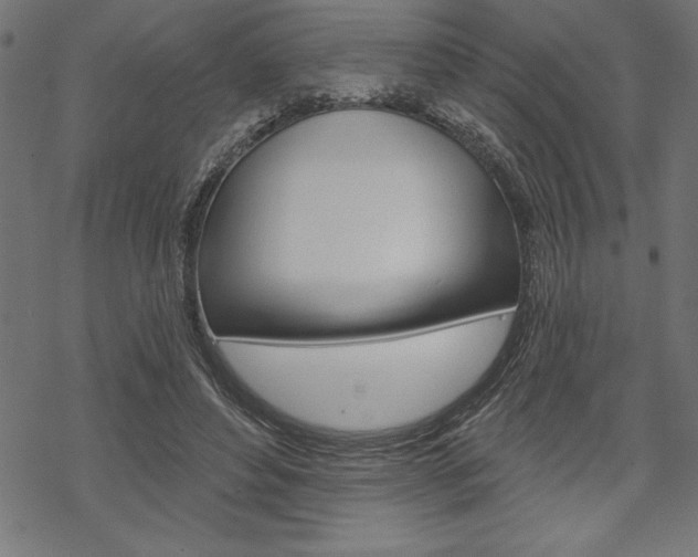 X0000070180496200605260943