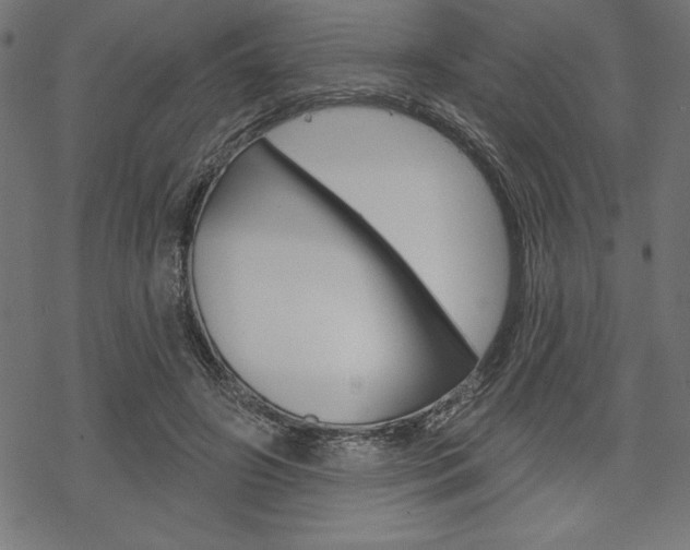 X0000070180498200605260943