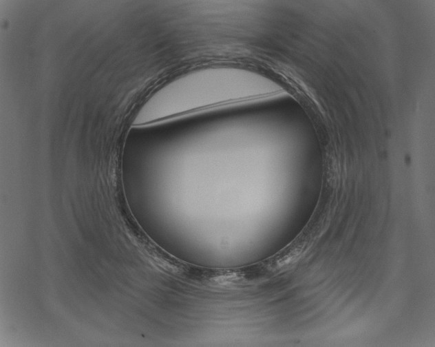 X0000070180505200605260943