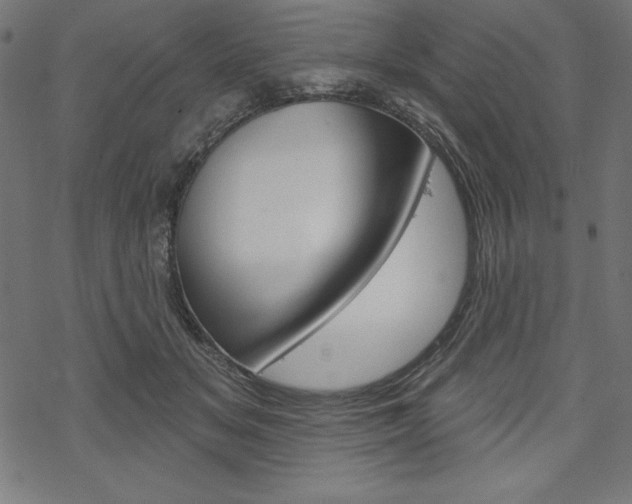 X0000070180509200605260943