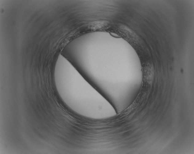 X0000070180510200605260943