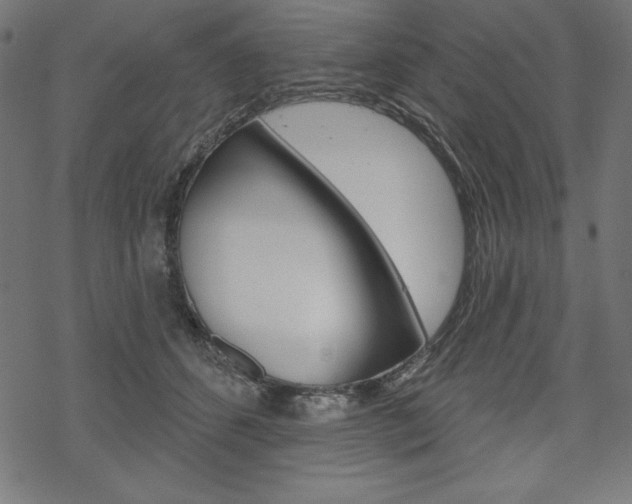 X0000070180512200605260943