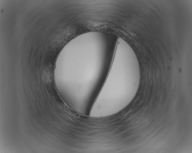 X0000070180515200605260943
