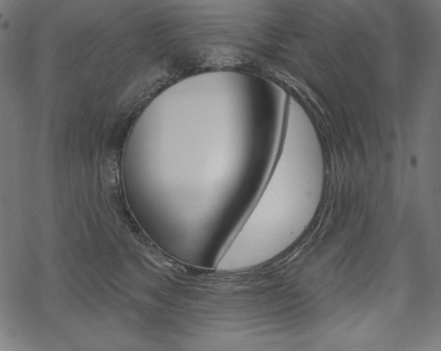 X0000070180517200605260943