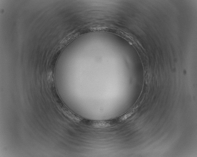 X0000070180521200605260943
