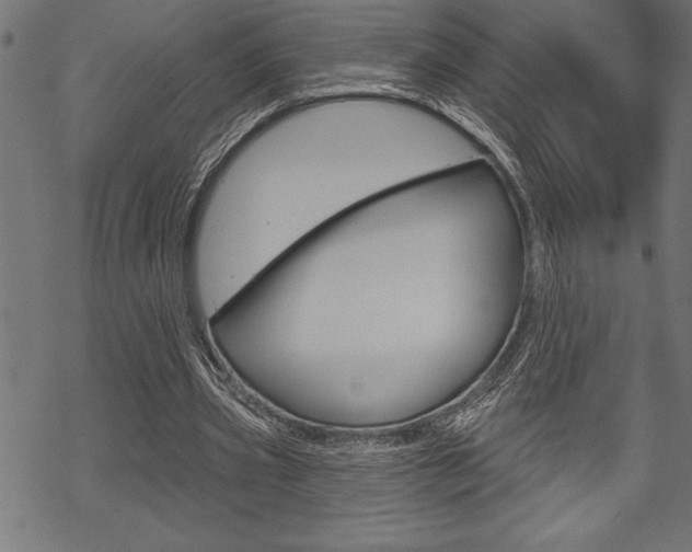 X0000070180533200605260942