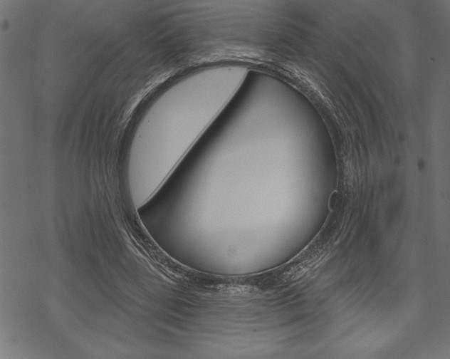 X0000070180539200605260942