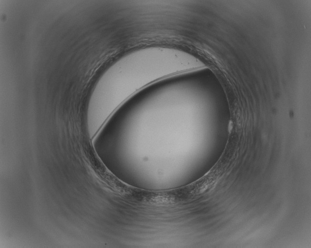 X0000070180546200605260942