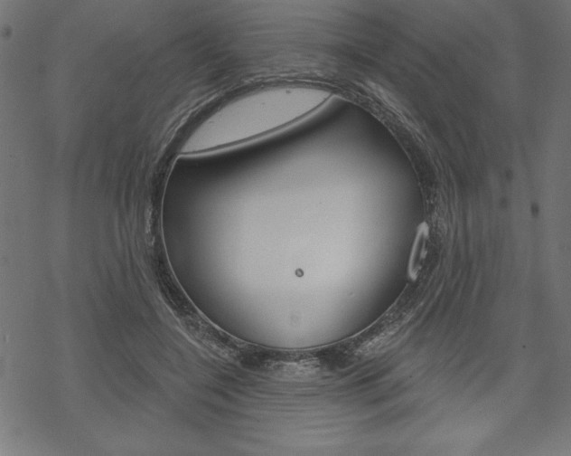 X0000070180548200605260942