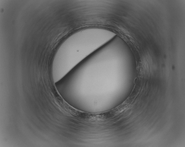 X0000070180550200605260942