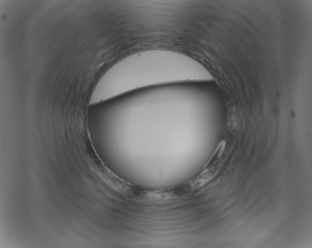 X0000070180568200605260943