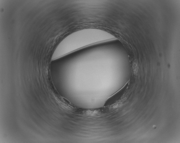 X0000070180570200605260943