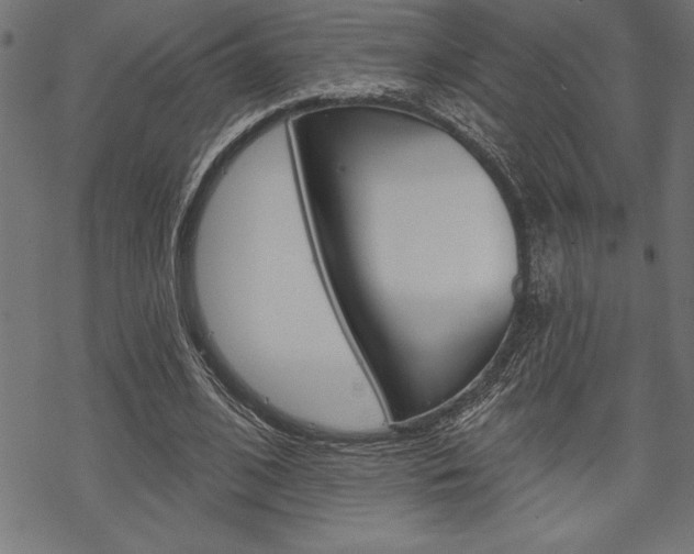 X0000070180584200605260942
