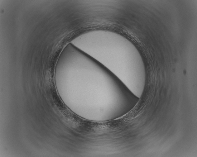 X0000070180594200605260942