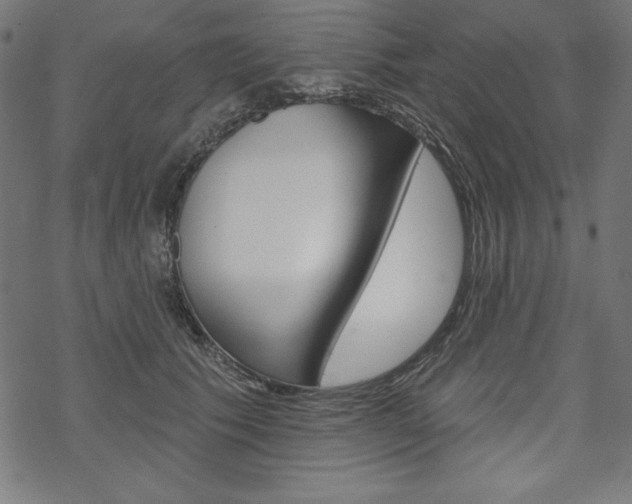 X0000070180609200605260942