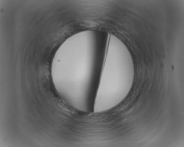 X0000070180612200605260941