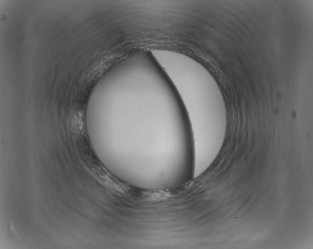 X0000070180621200605260941