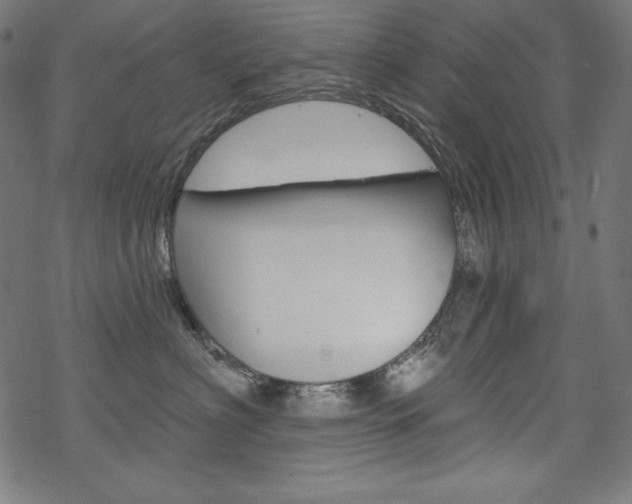 X0000070180622200605260941
