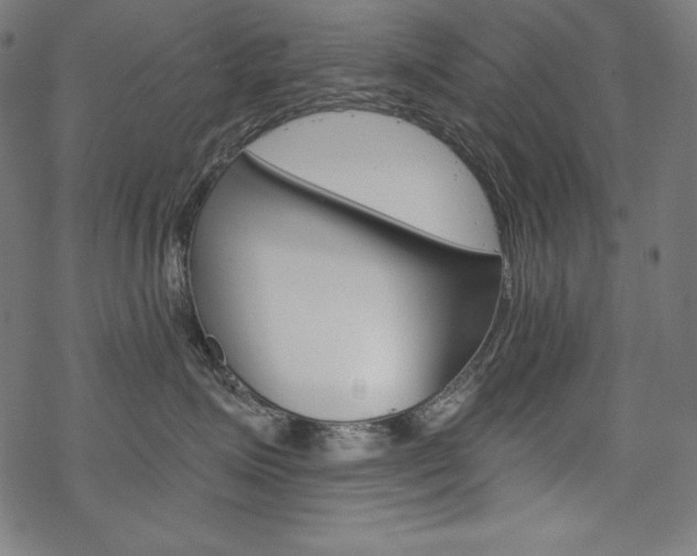 X0000070180623200605260941