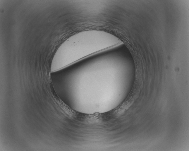 X0000070180624200605260941