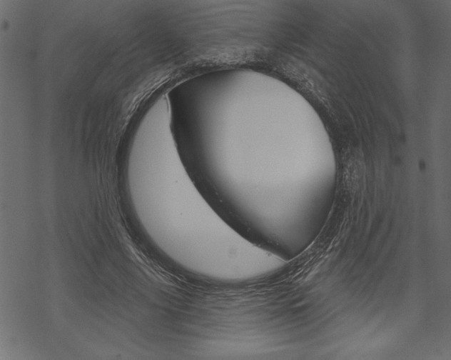 X0000070180635200605260941