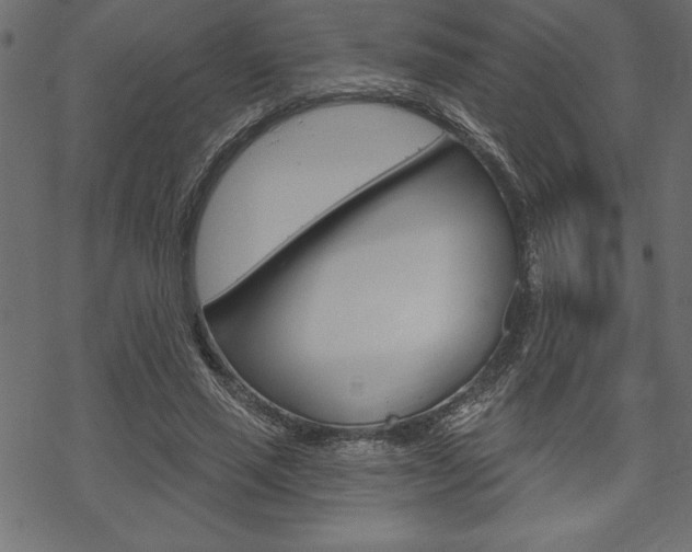 X0000070180637200605260941