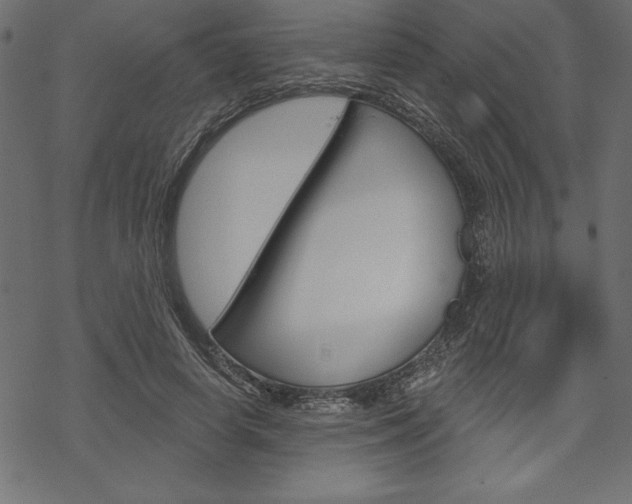 X0000070180642200605260941