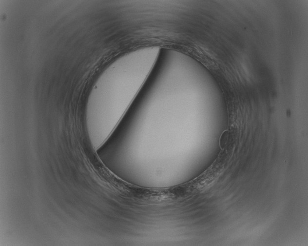 X0000070180646200605260941