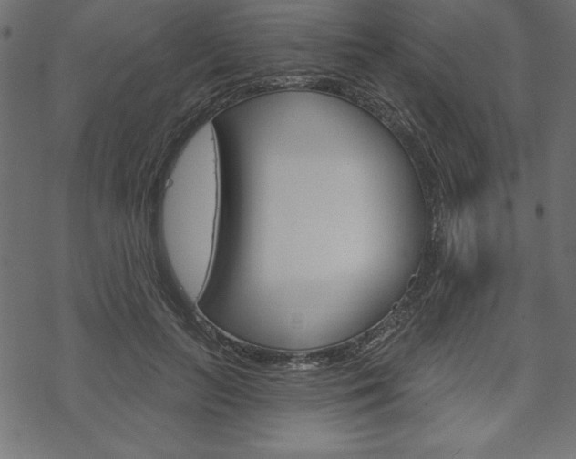 X0000070180647200605260941