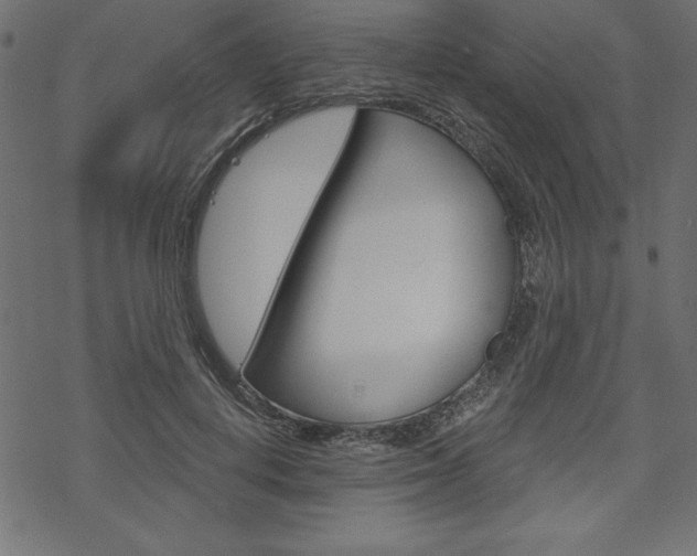 X0000070180648200605260941