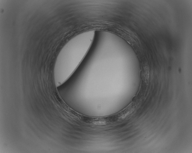 X0000070180653200605260941