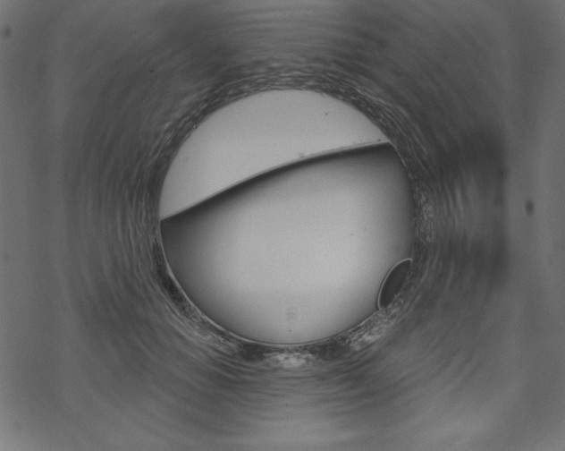 X0000070180654200605260941