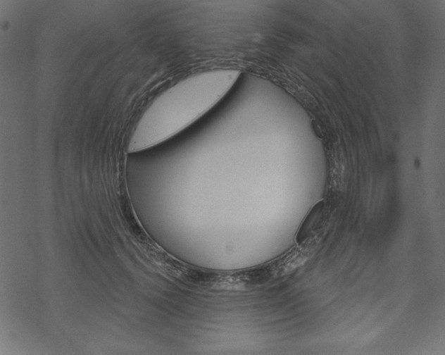 X0000070180656200605260941