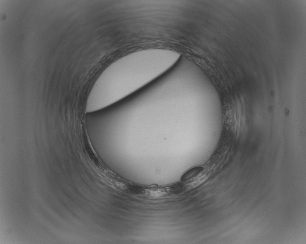 X0000070180662200605260941