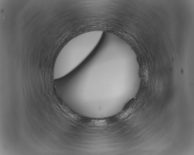 X0000070180665200605260941