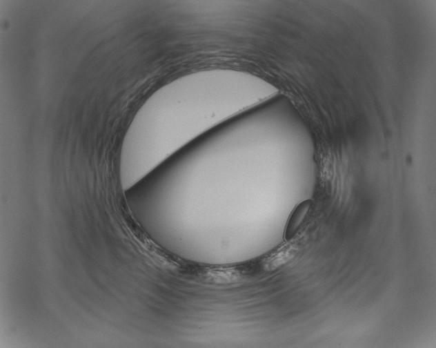 X0000070180666200605260941