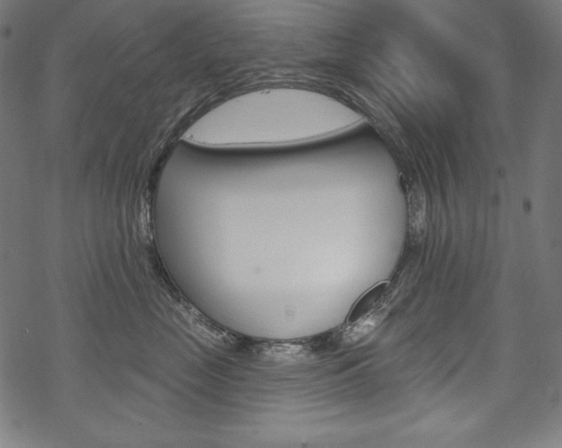 X0000070180669200605260941