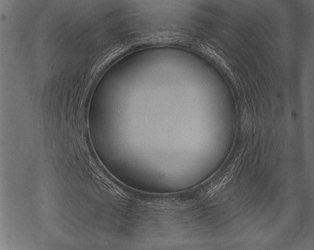 X0000070180673200605260940