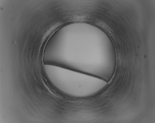 X0000070180674200605260940