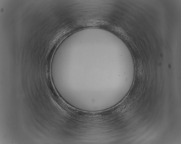X0000070180683200605260940