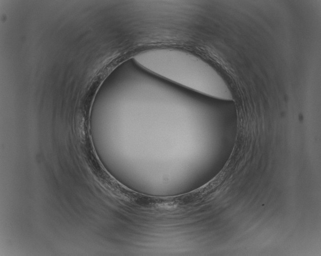 X0000070180692200605260940