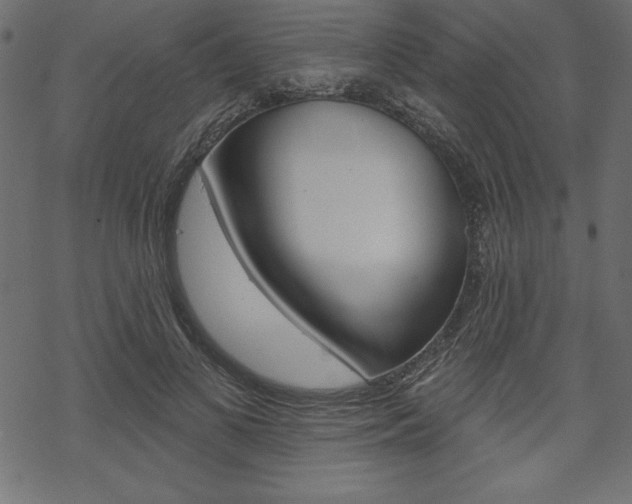 X0000070180693200605260940