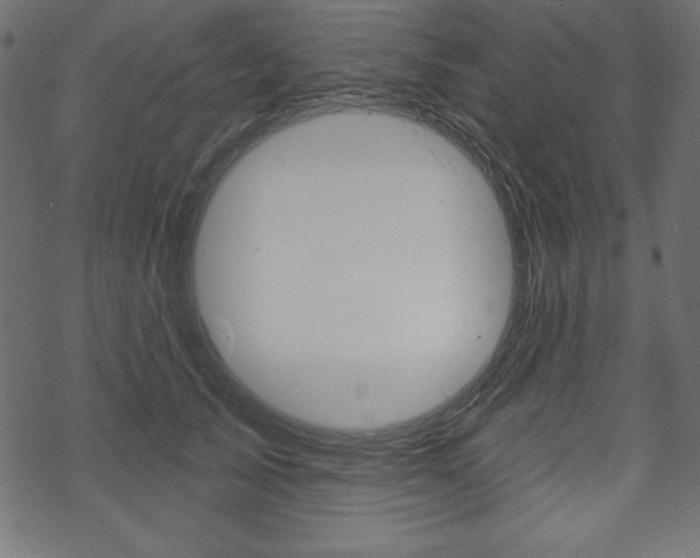 X0000070180705200605260940