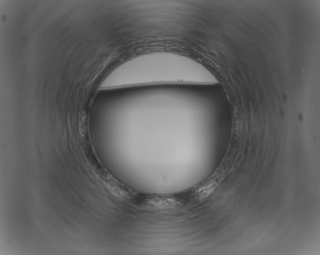 X0000070180712200605260940