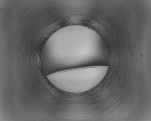 X0000070180715200605260940